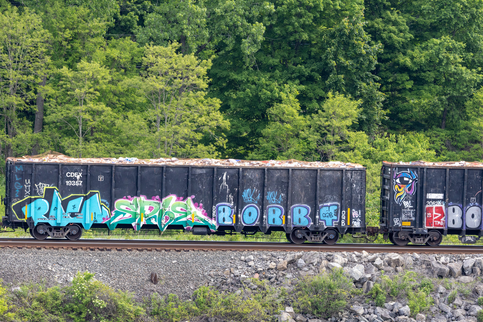 CDEX 19357