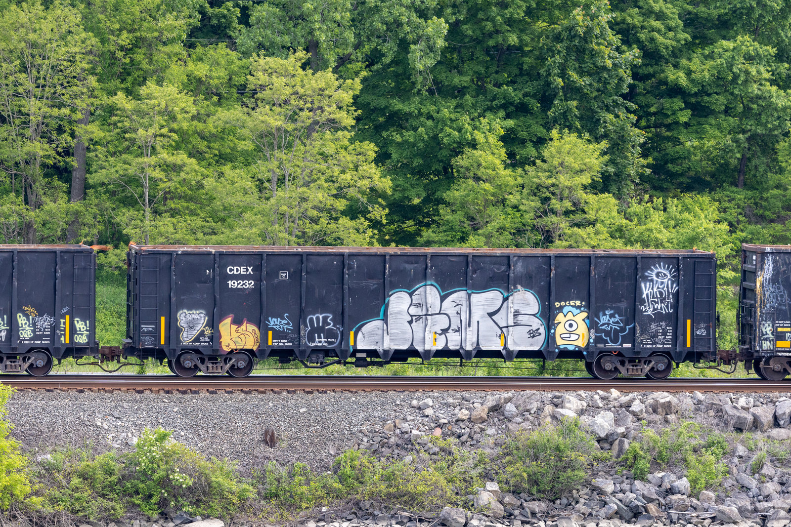 CDEX 19232