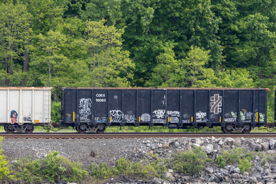 CDEX 19083