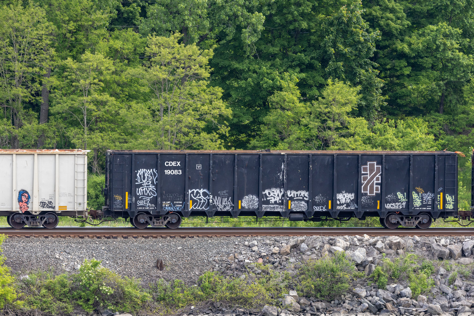 CDEX 19083