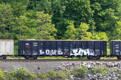 CDEX 19120