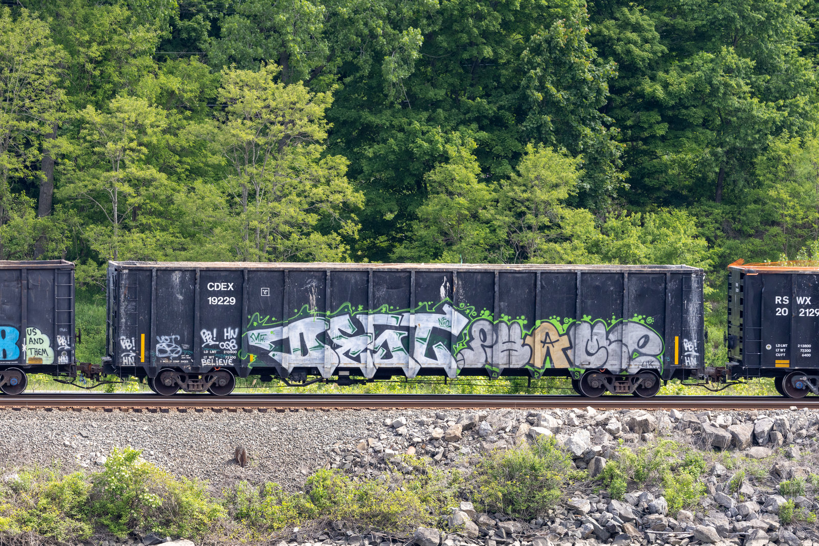 CDEX 19229