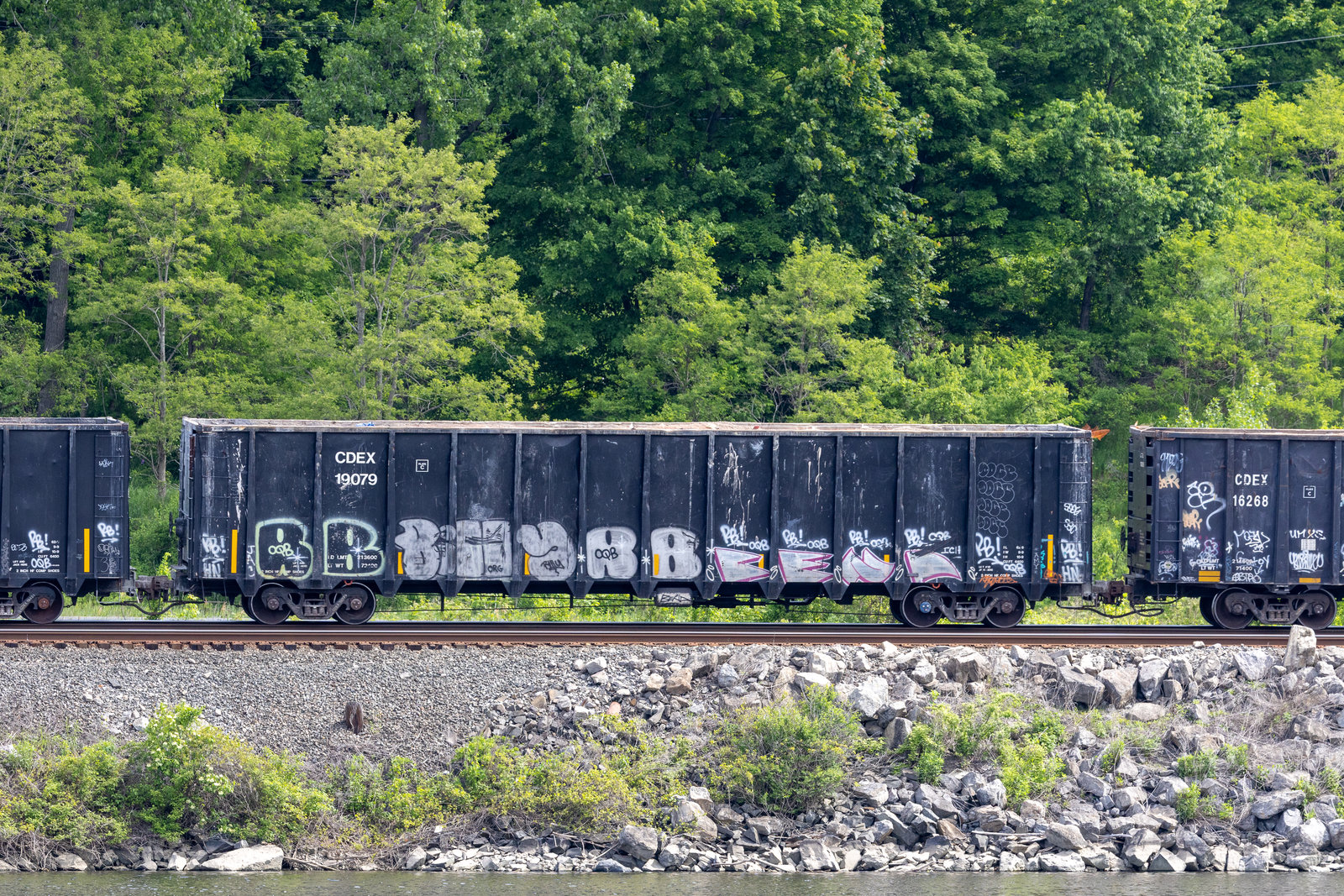 CDEX 19079