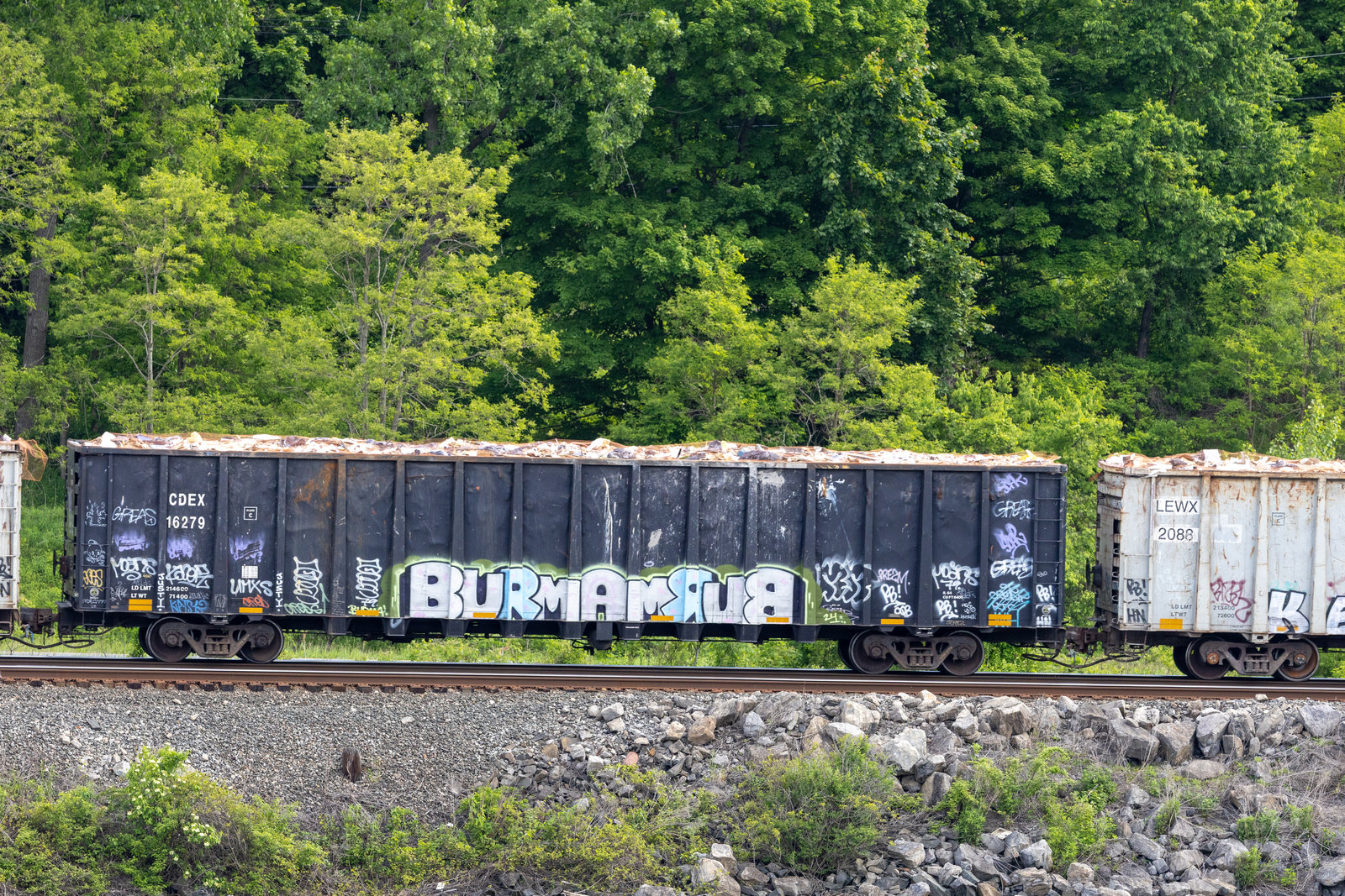 CDEX 16279