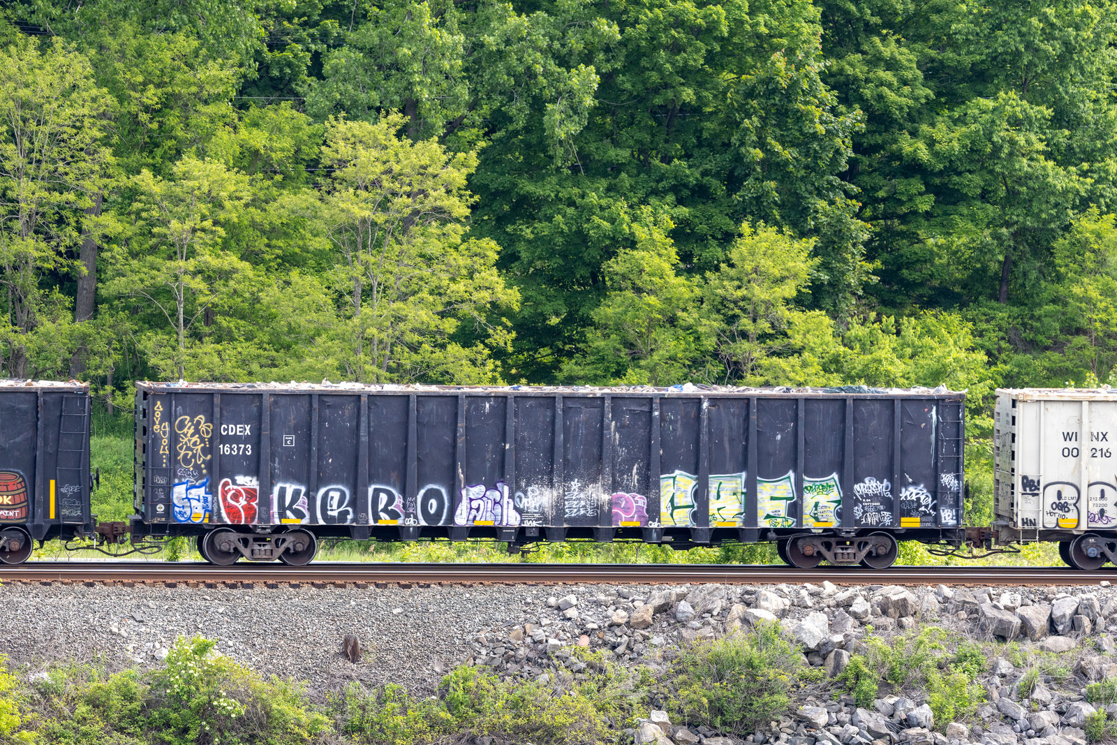 CDEX 16373
