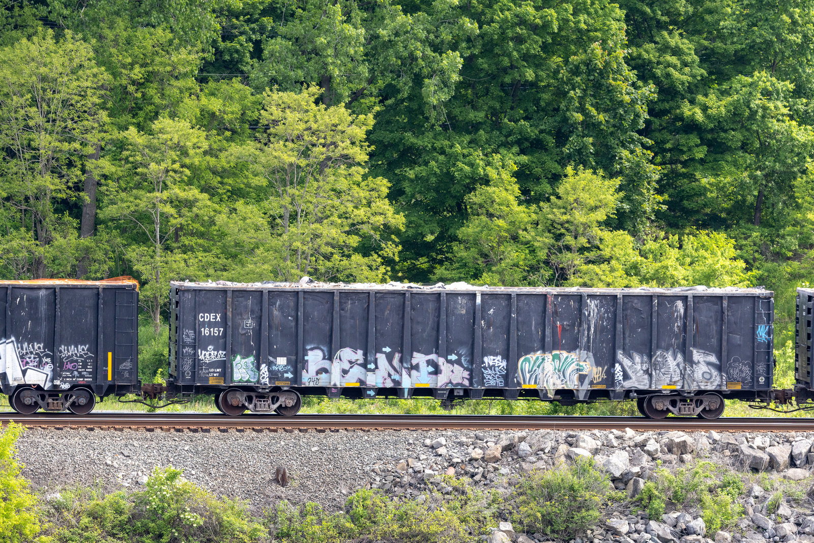 CDEX 16157