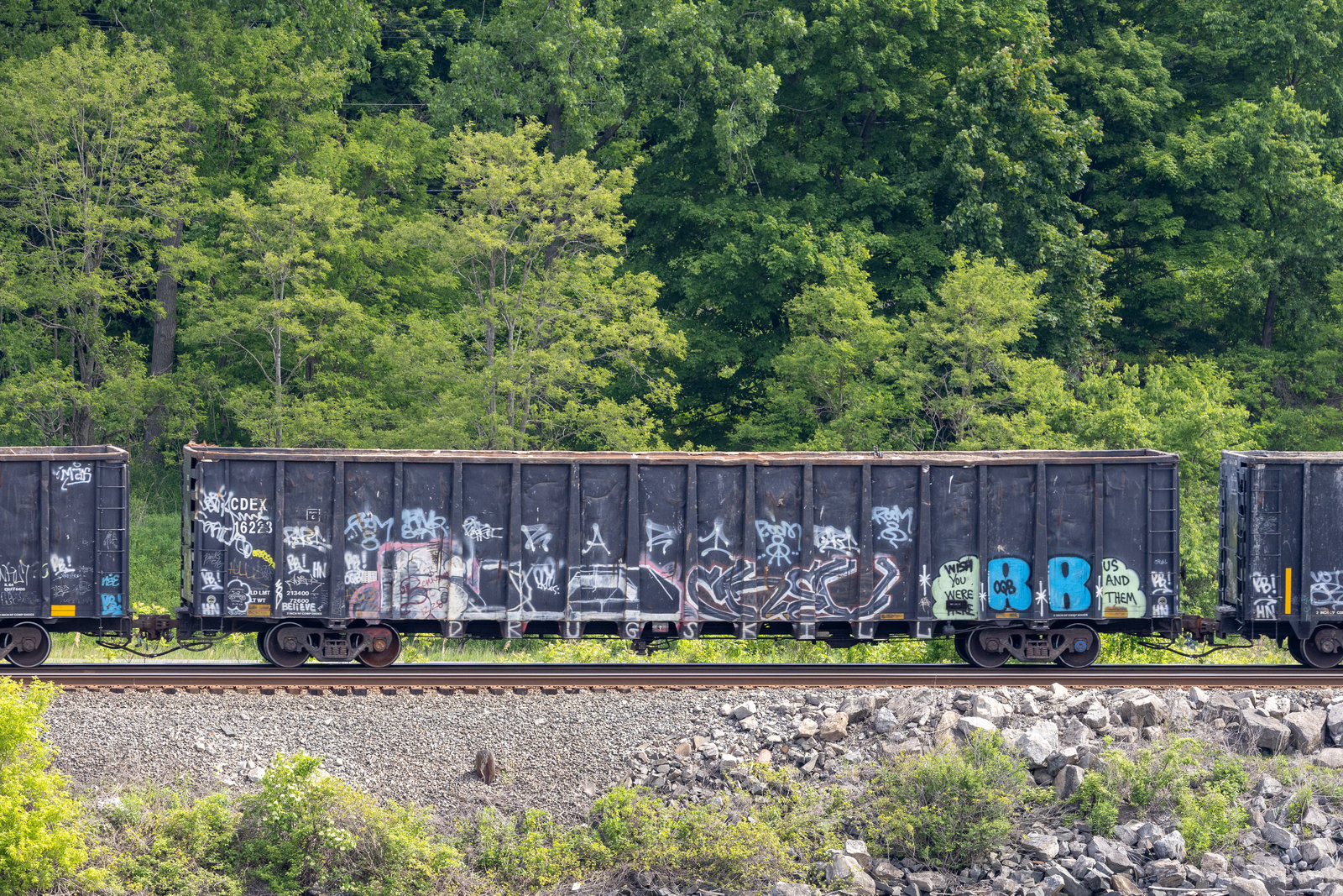 CDEX 16223