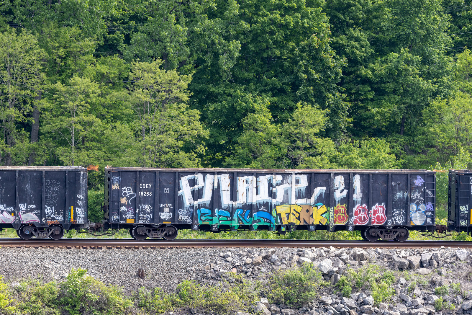 CDEX 16268
