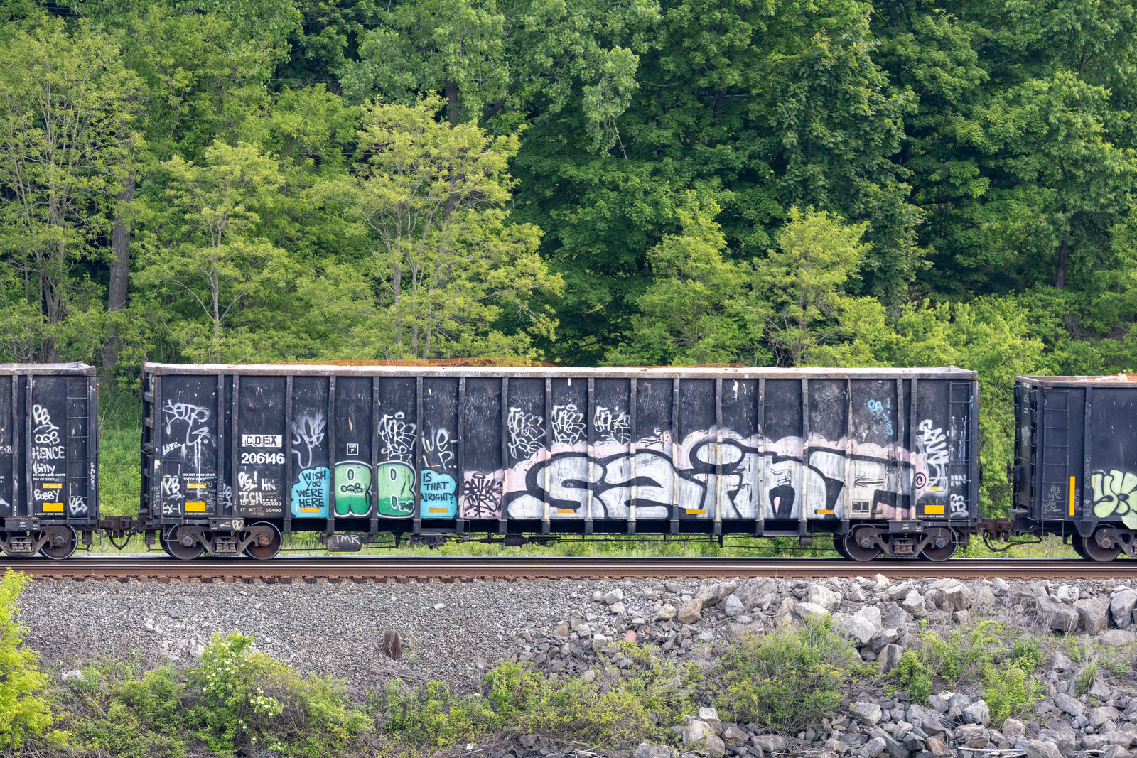 CDEX 206146