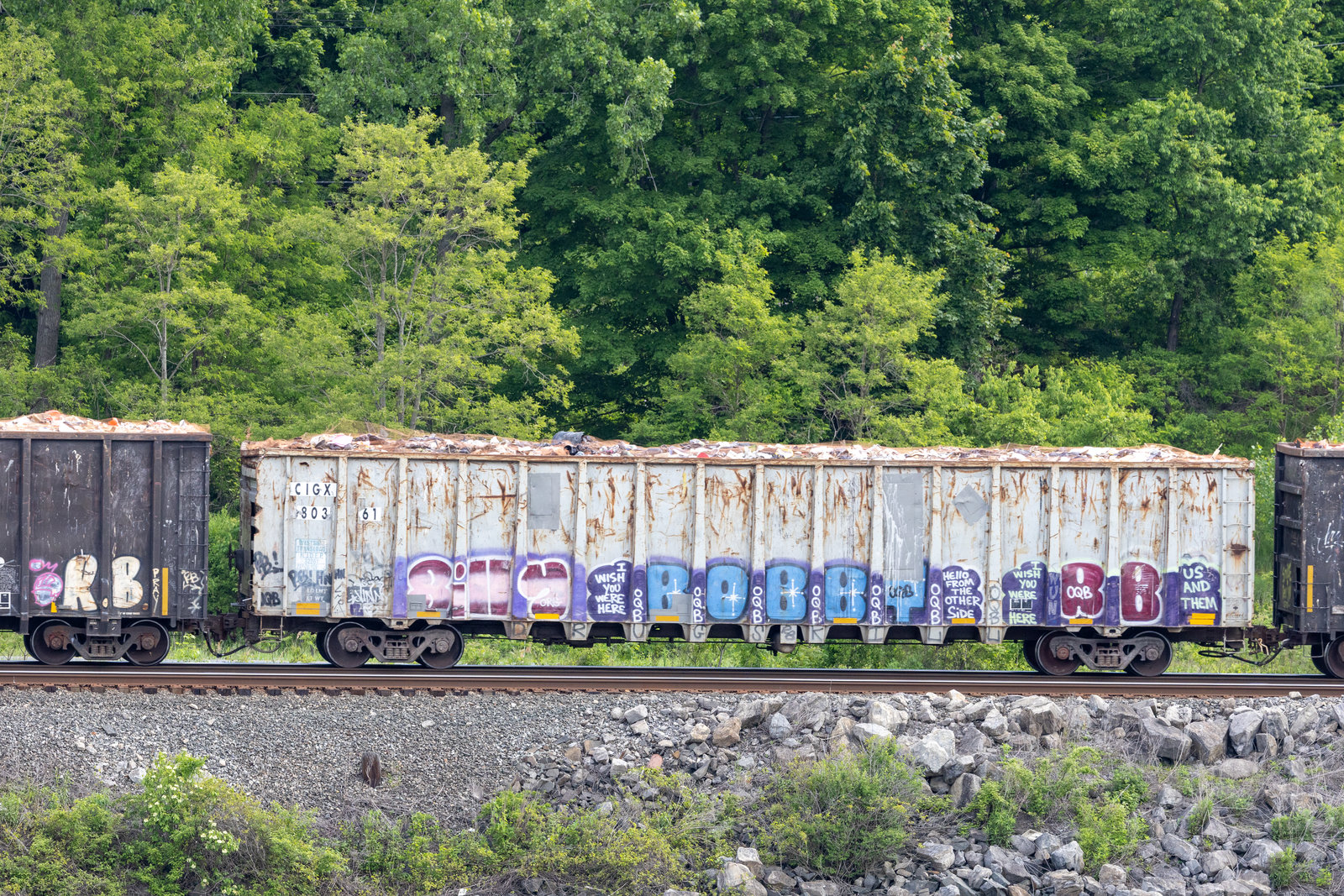 CIGX 803x61