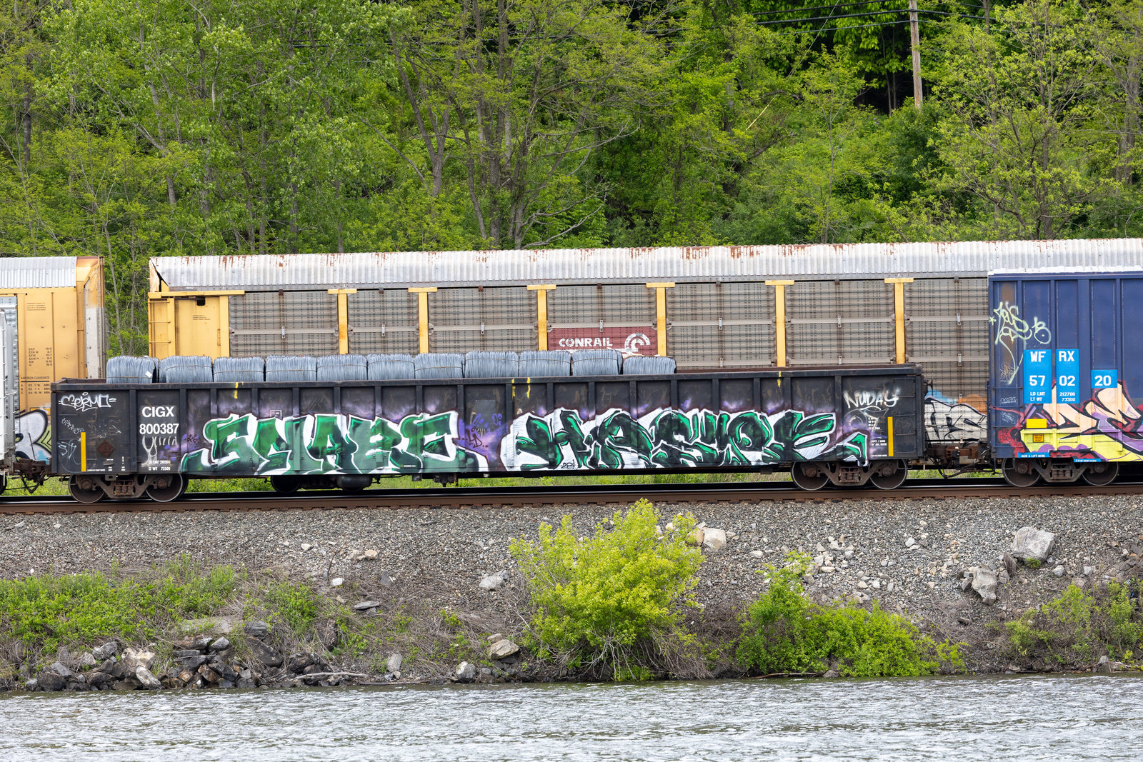 CIGX 800387