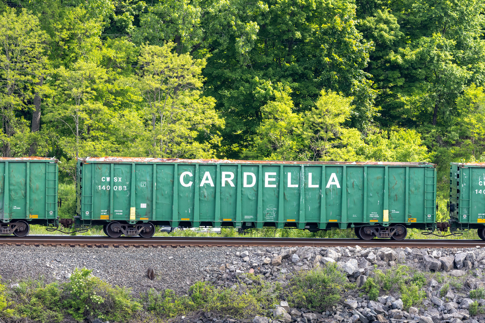 CWSX 140083
