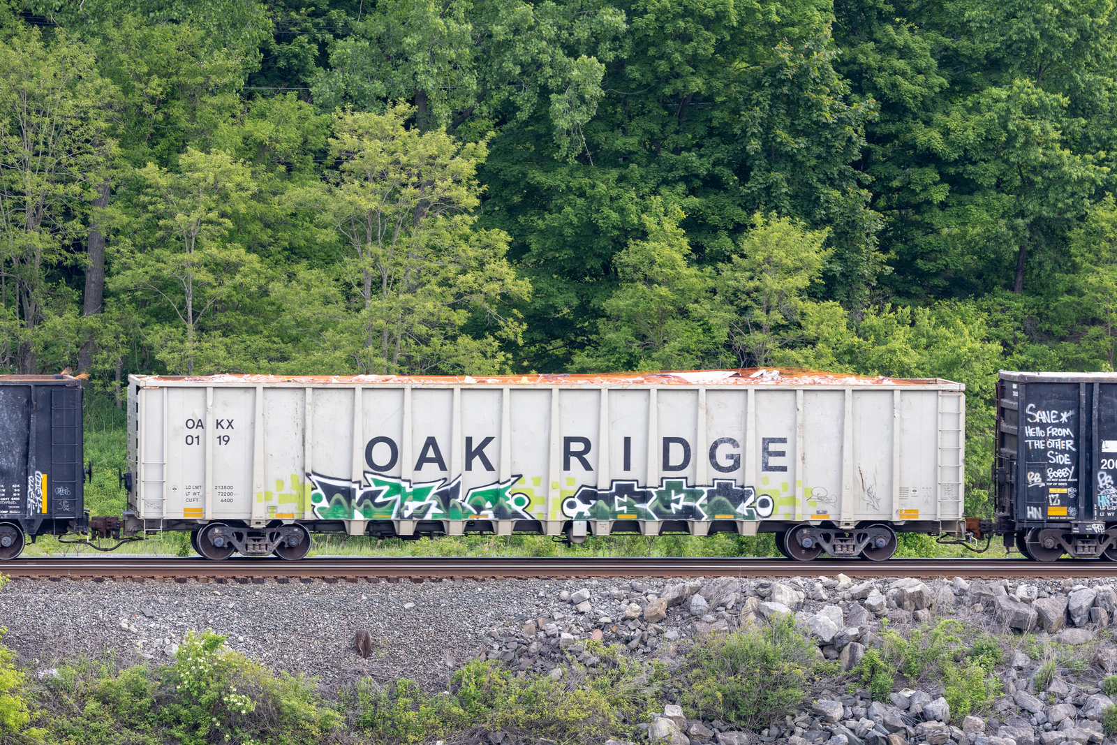 OAKX 0119