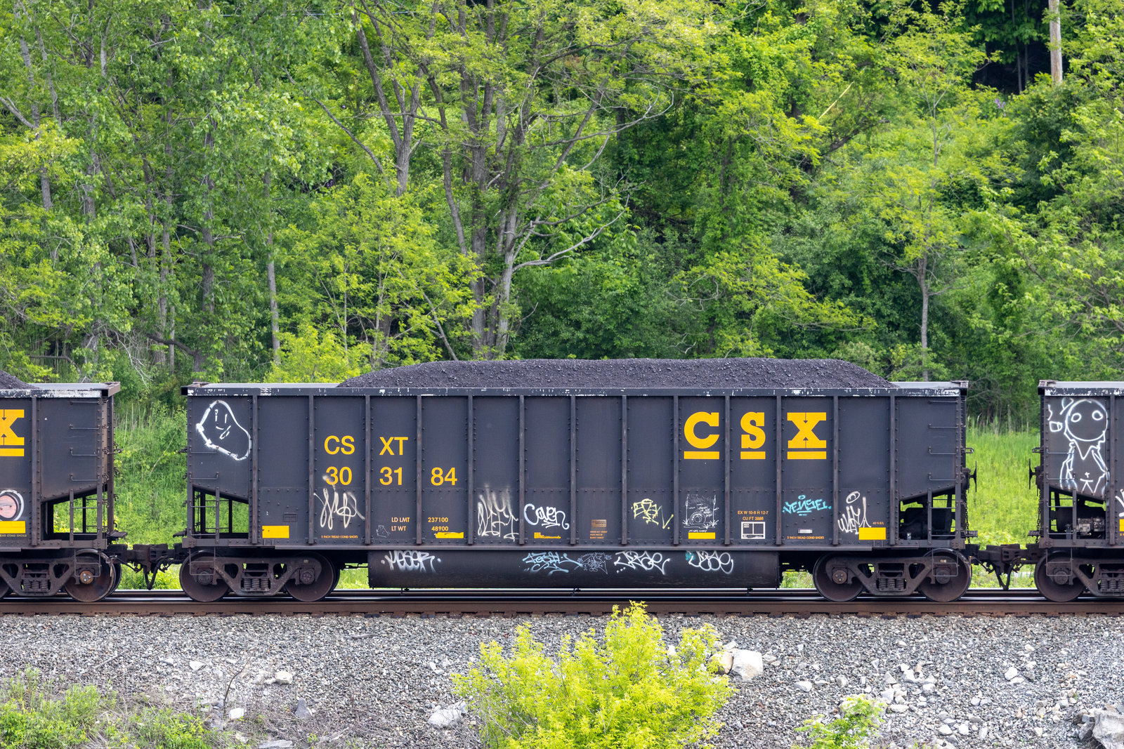 CSXT 303184