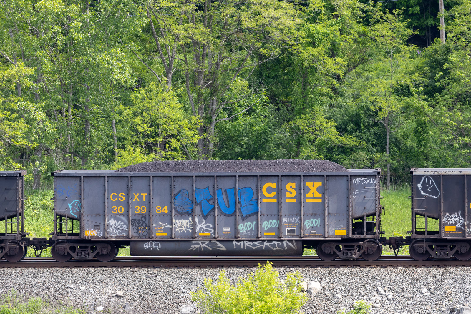 CSXT 303984