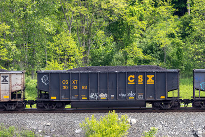 CSXT 303393
