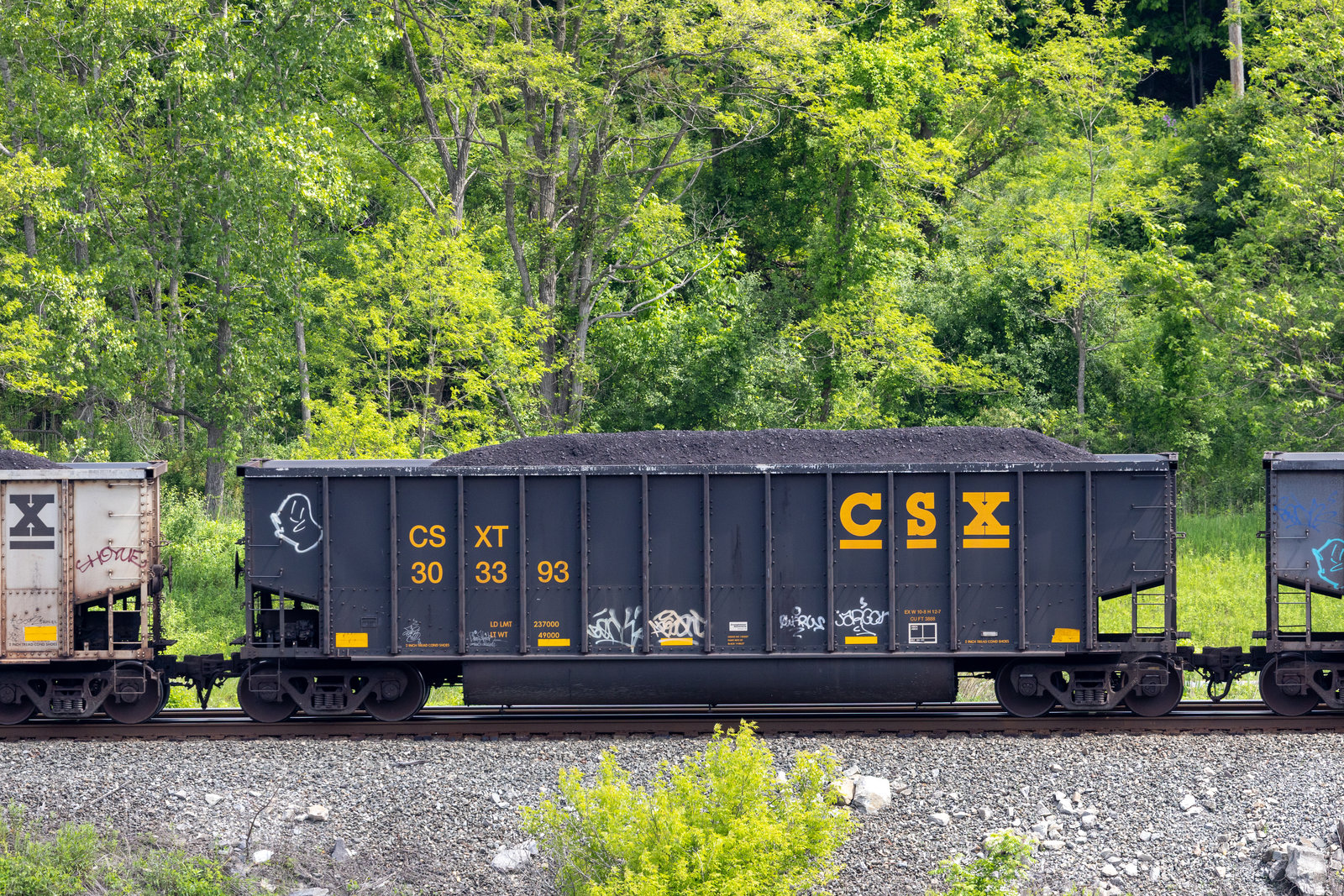 CSXT 303393