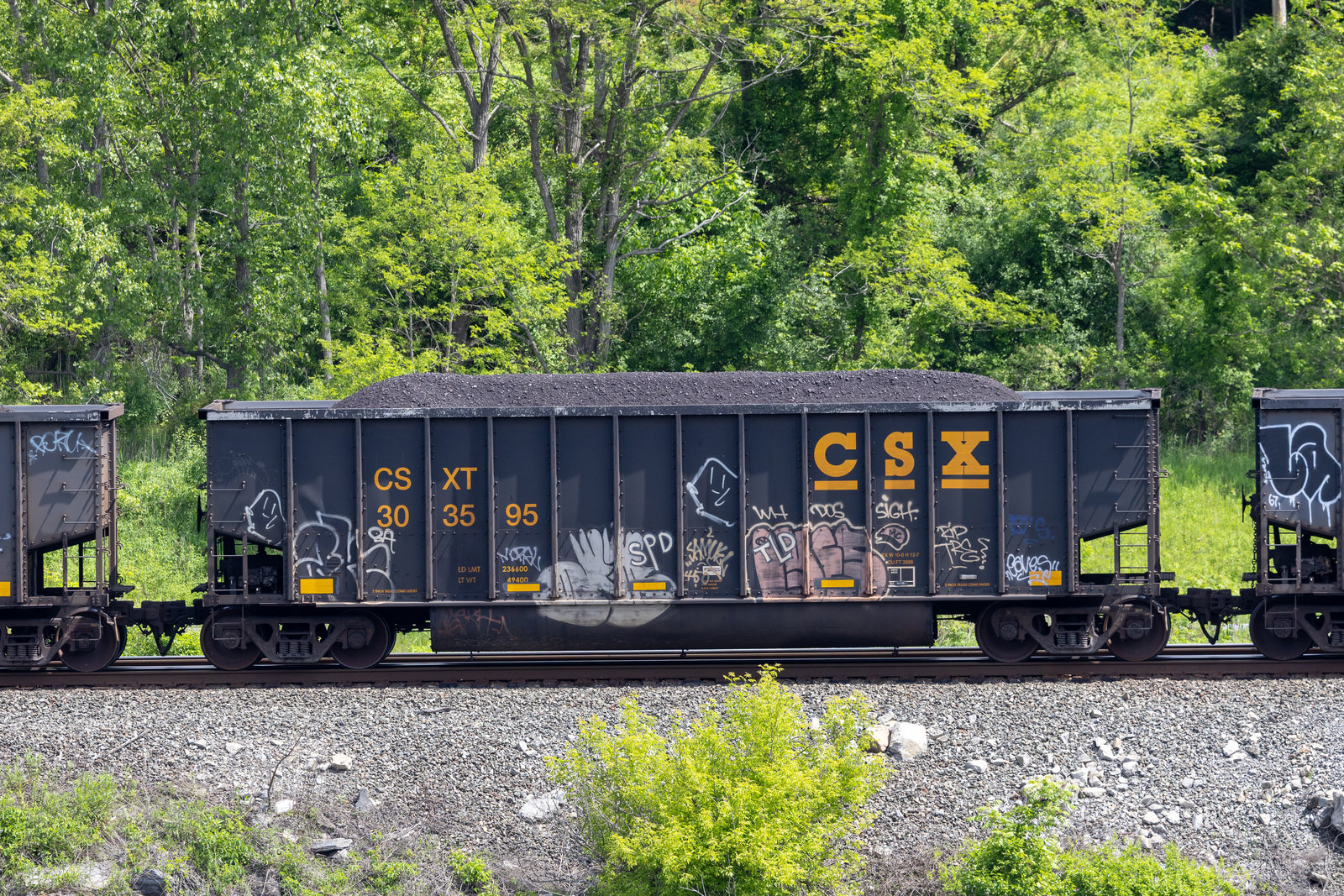 CSXT 303595