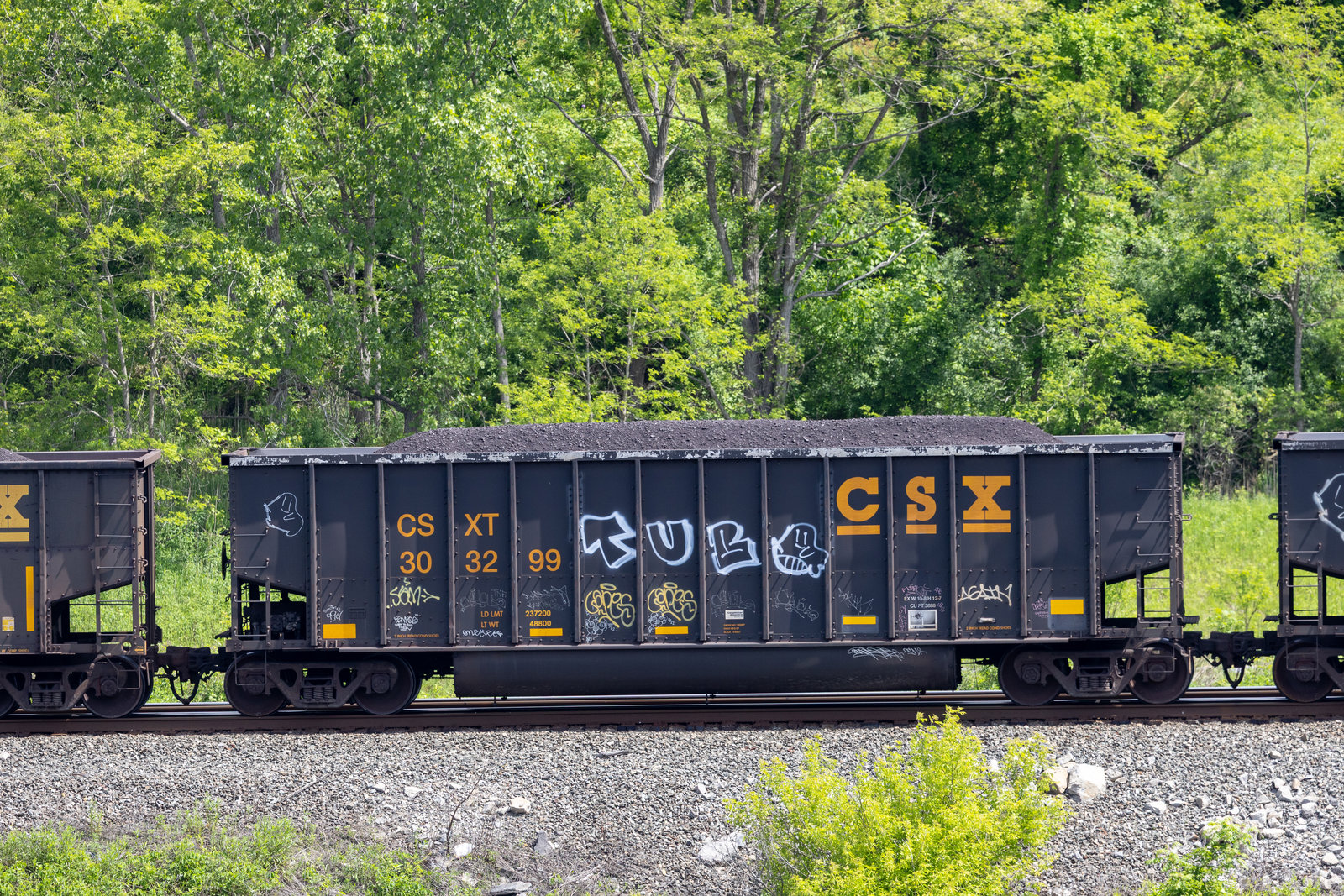 CSXT 303299
