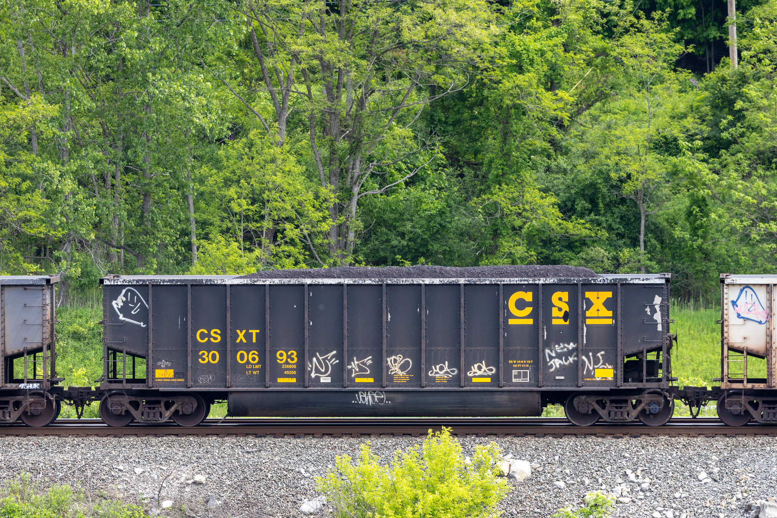 CSXT 300693