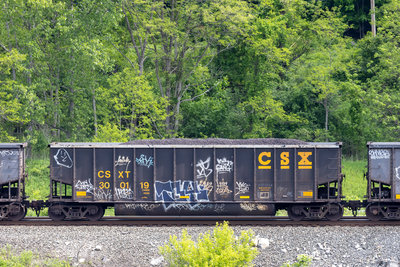 CSXT 300119