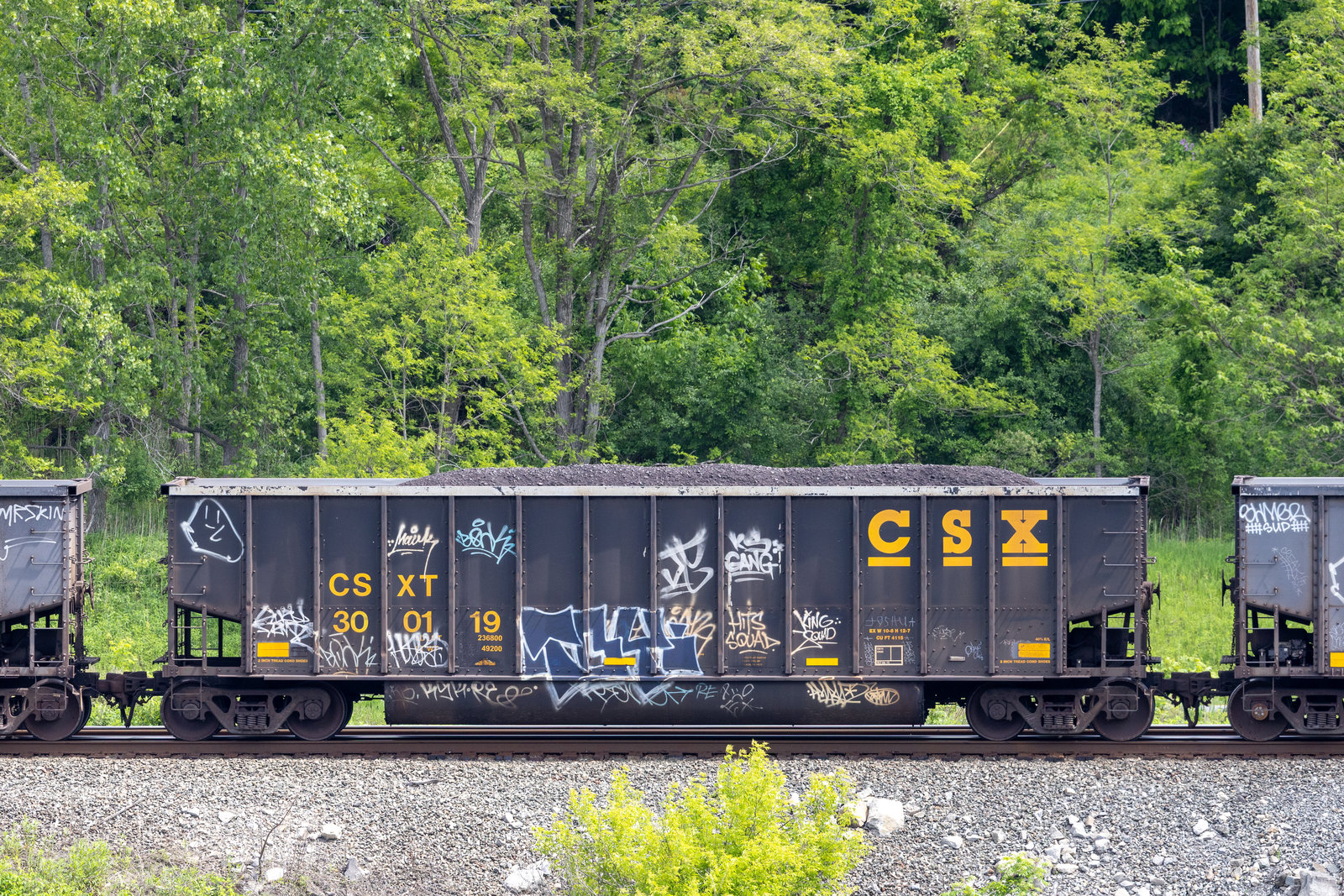CSXT 300119