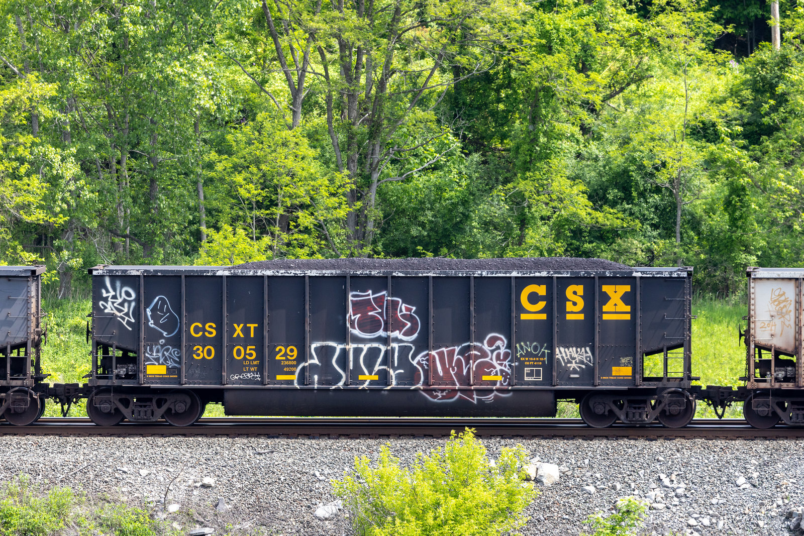 CSXT 300529