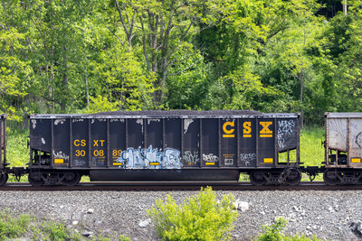 CSXT 300889