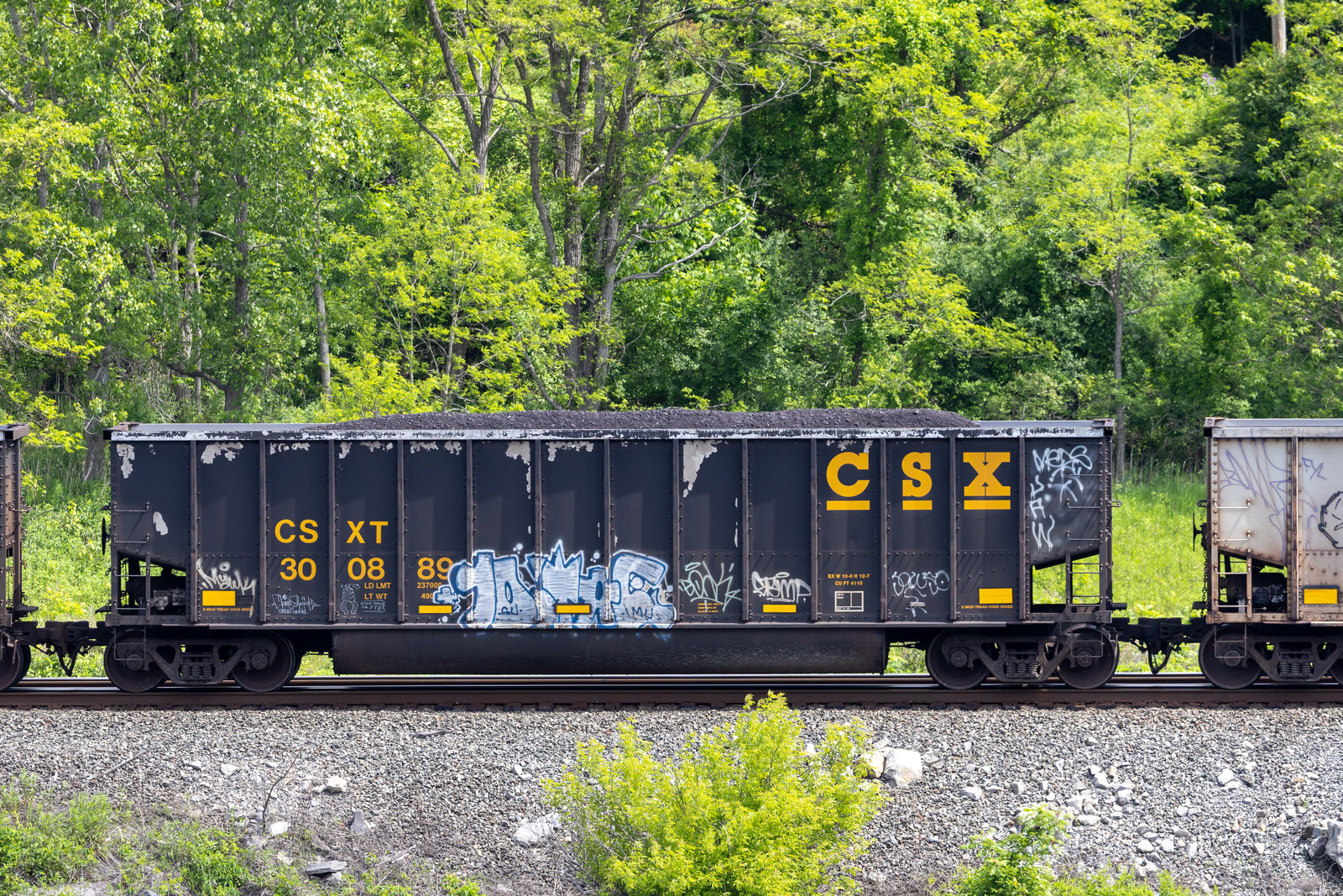 CSXT 300889
