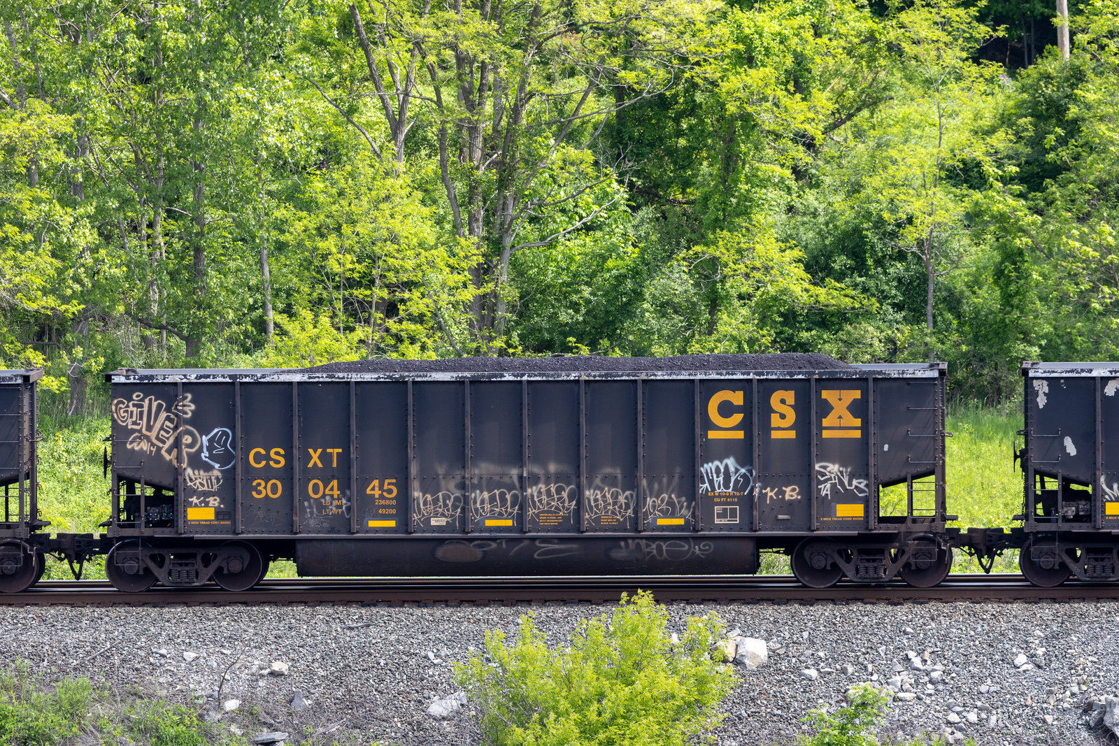CSXT 300445