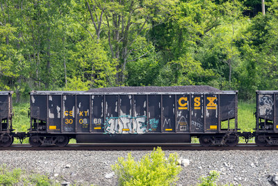 CSXT 300868