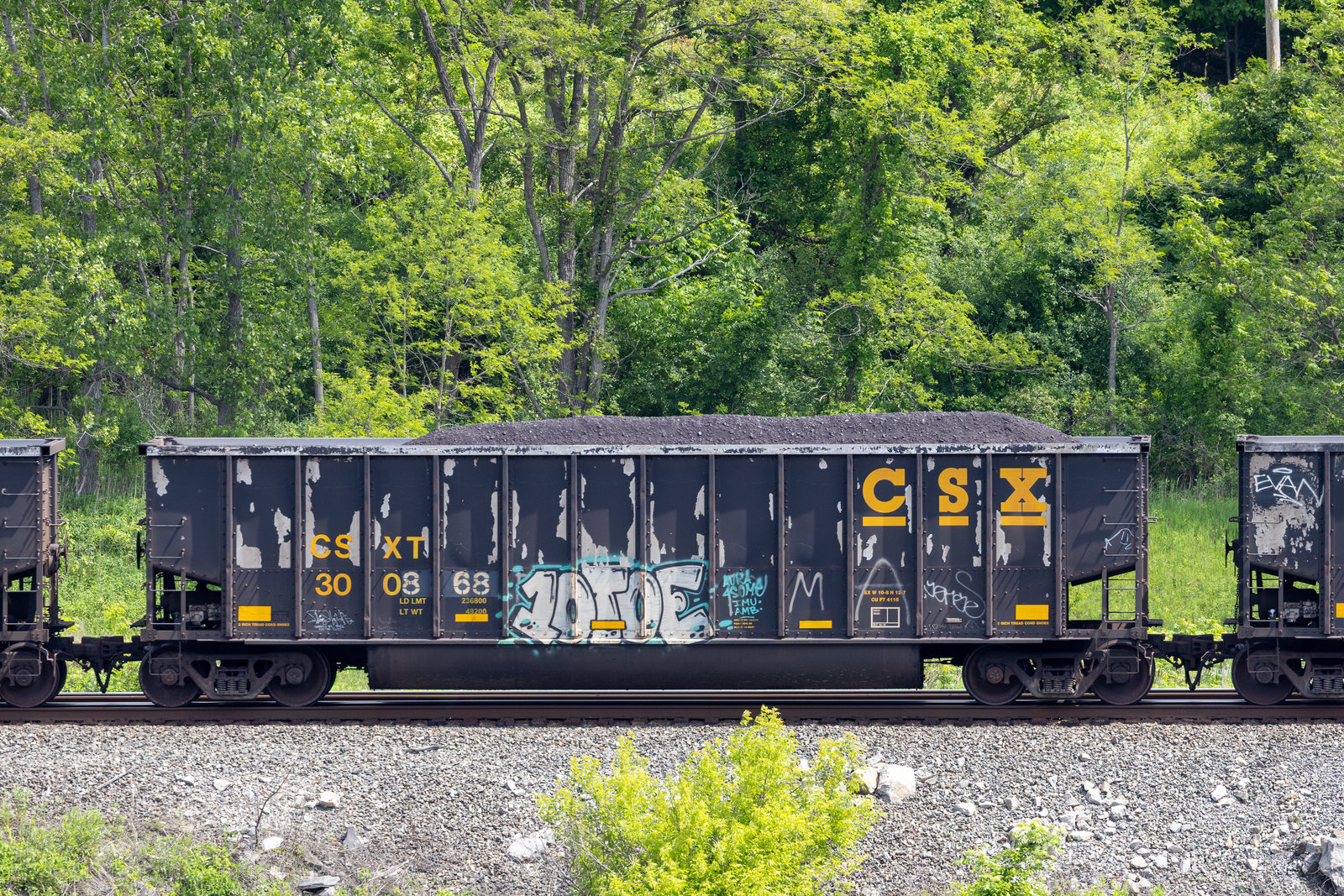 CSXT 300868