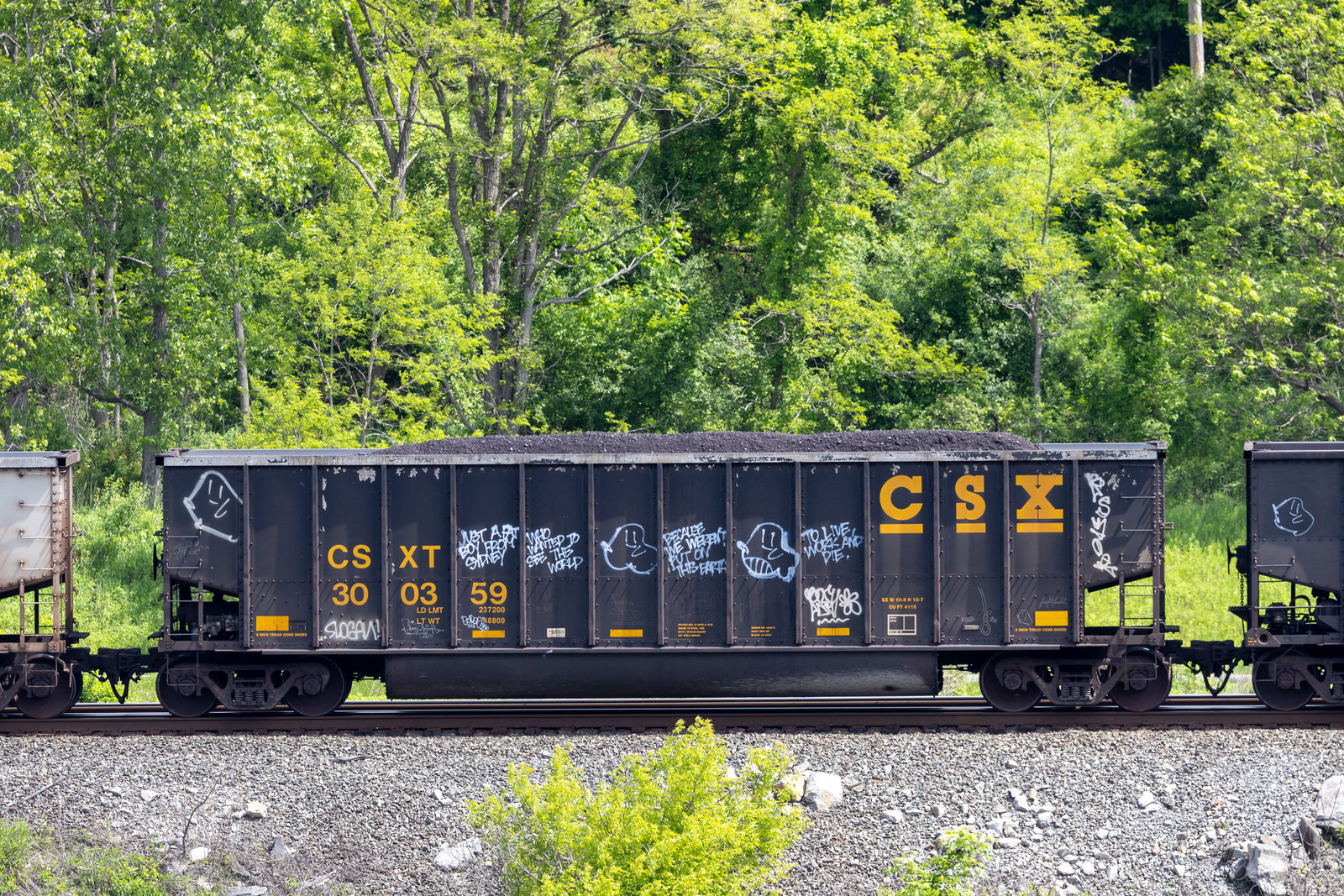 CSXT 300359