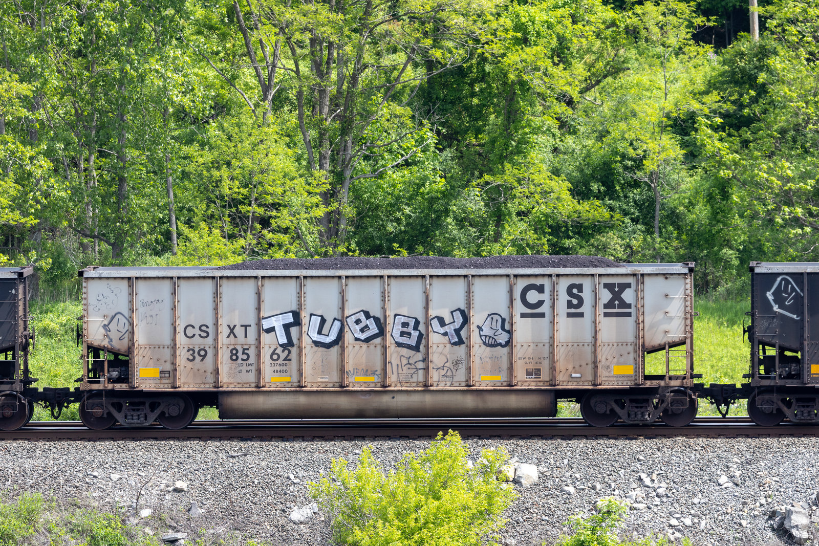 CSXT 398562