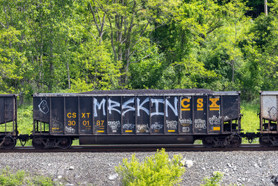 CSXT 300187