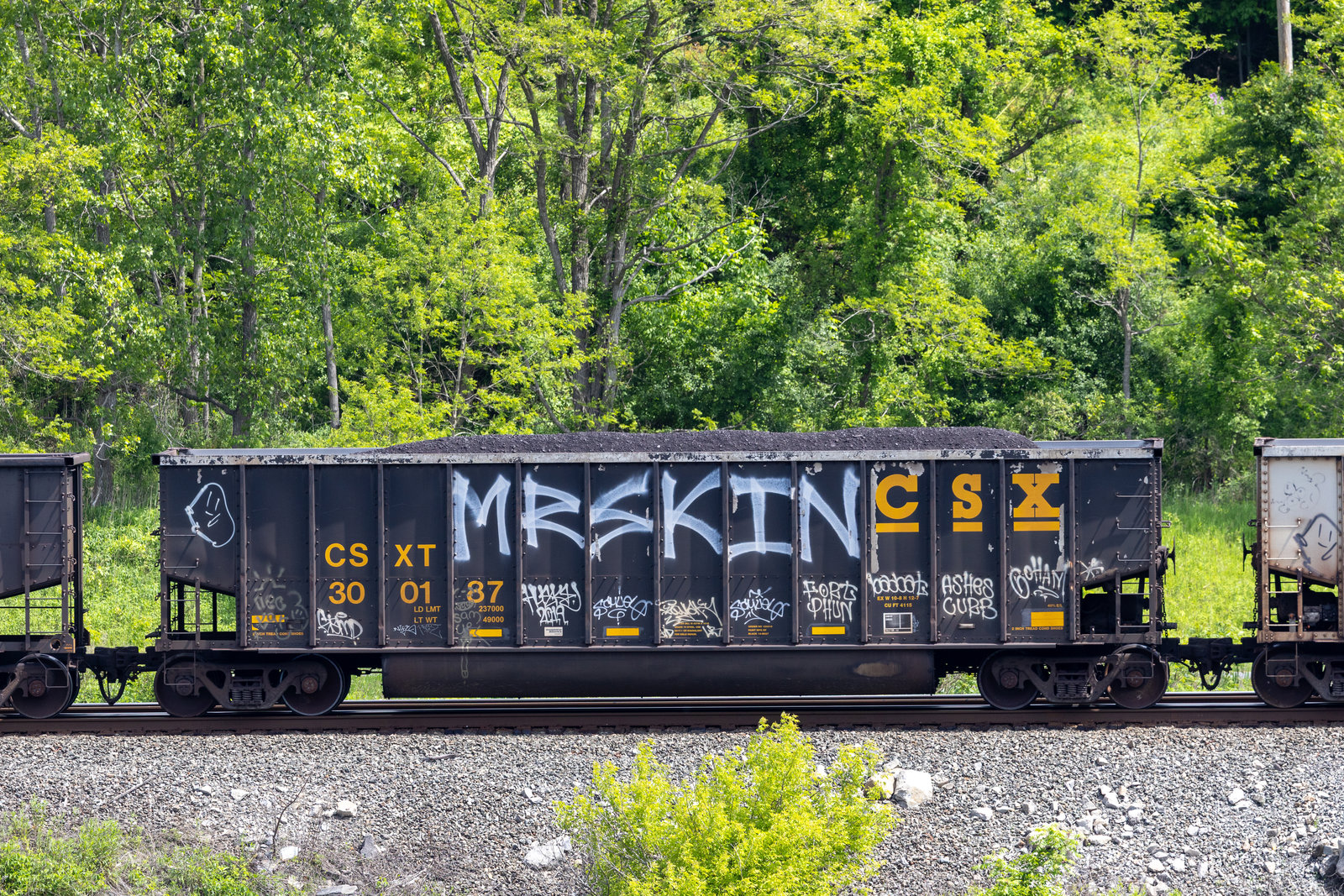 CSXT 300187