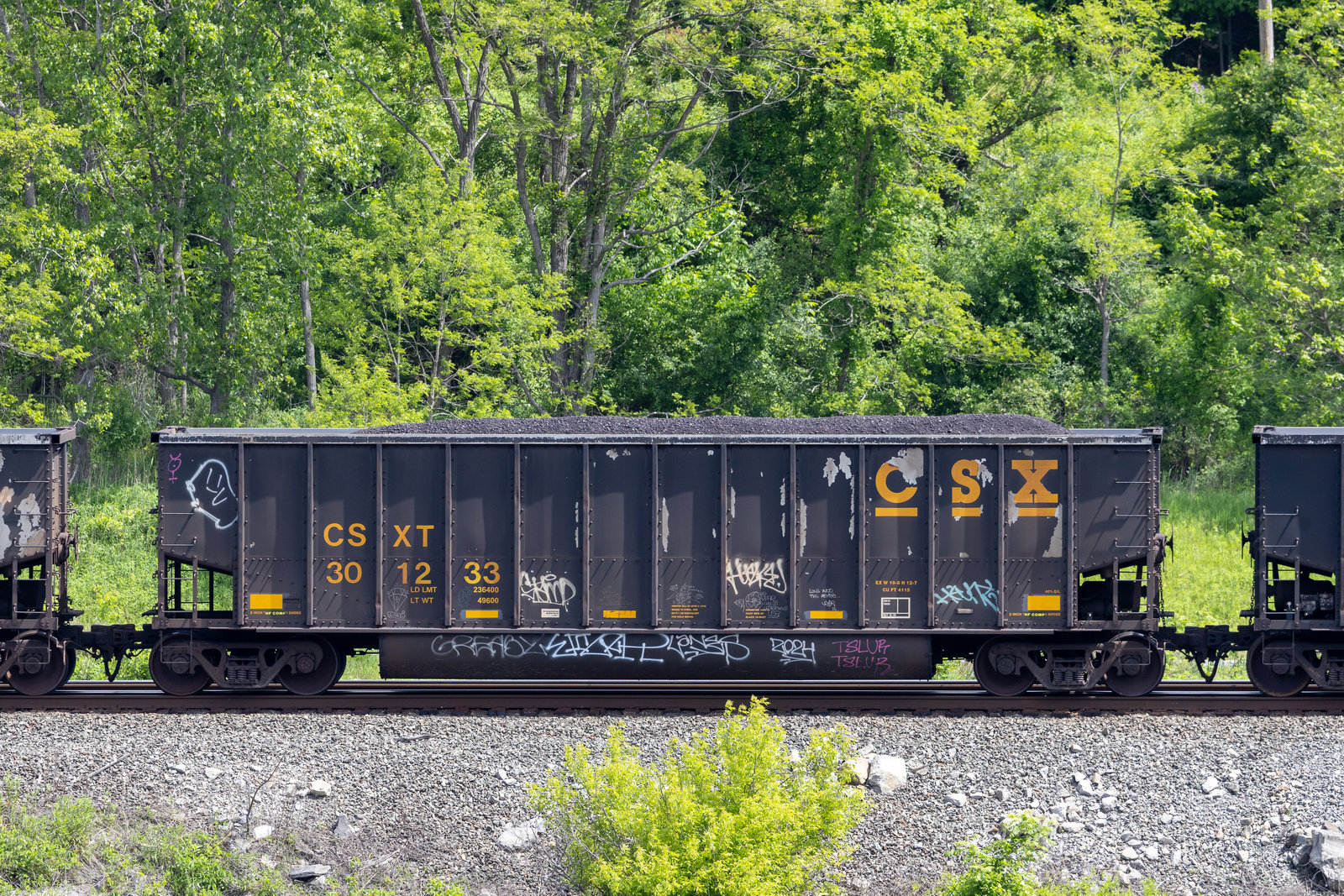CSXT 301233