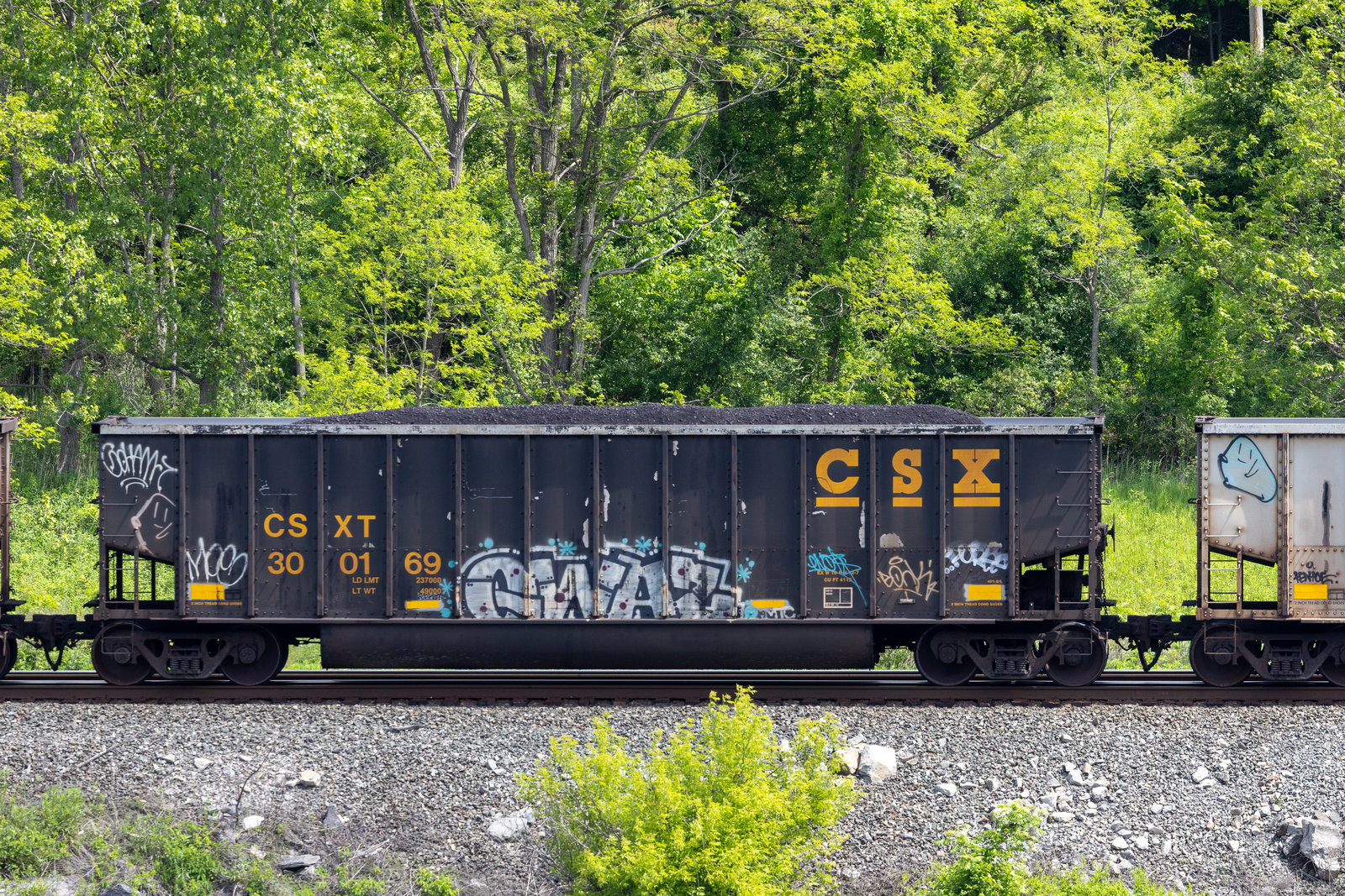 CSXT 300169