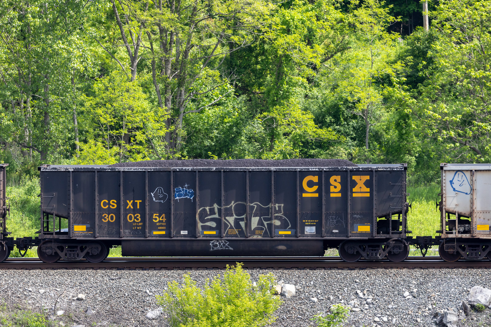 CSXT 300354