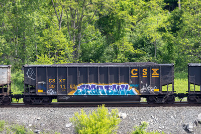 CSXT 301183