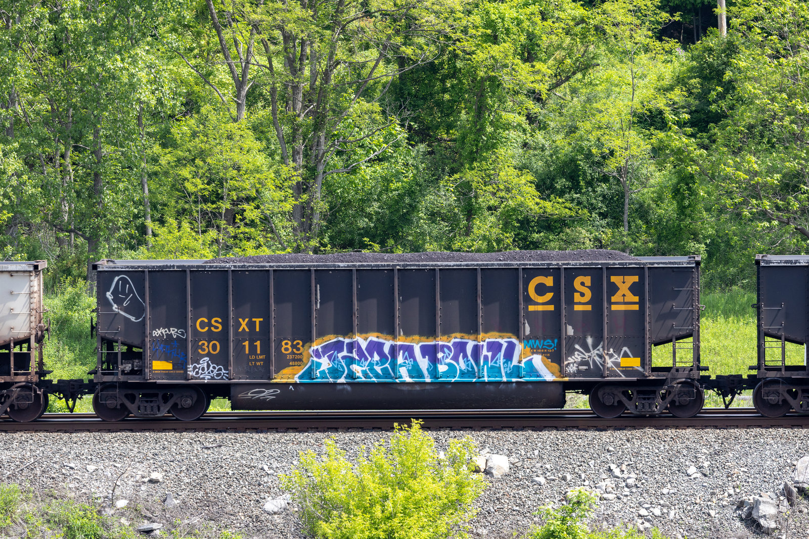 CSXT 301183