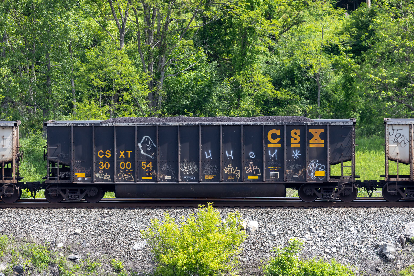 CSXT 300054