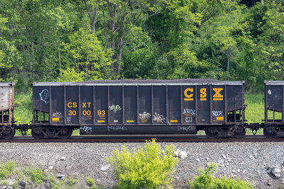 CSXT 300093