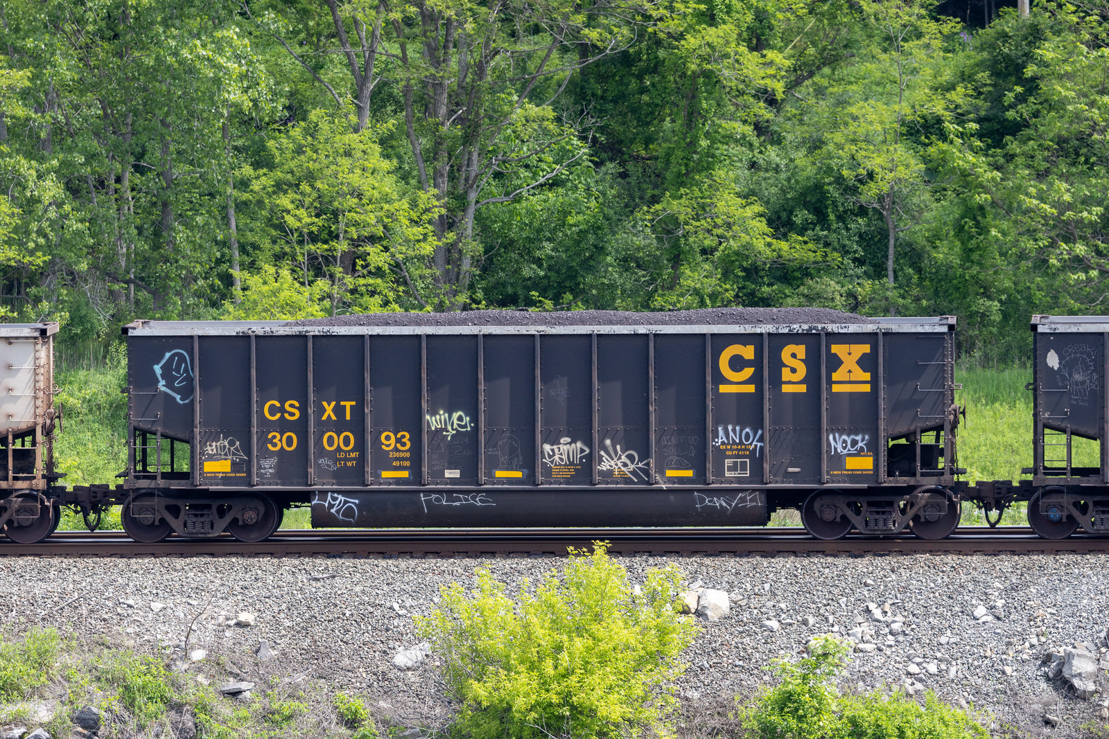 CSXT 300093