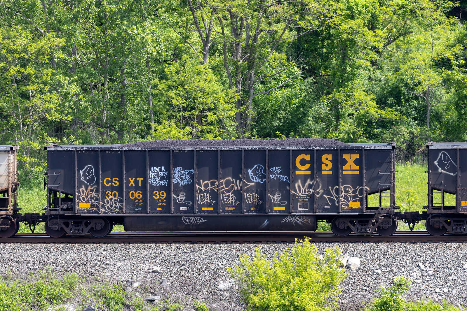 CSXT 300639