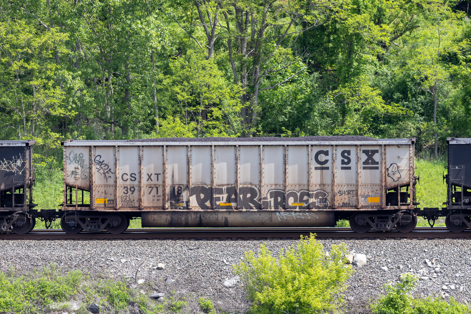 CSXT 397118