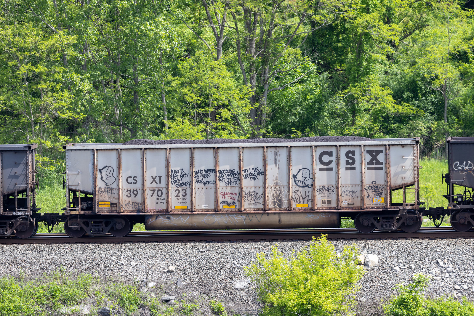 CSXT 397023
