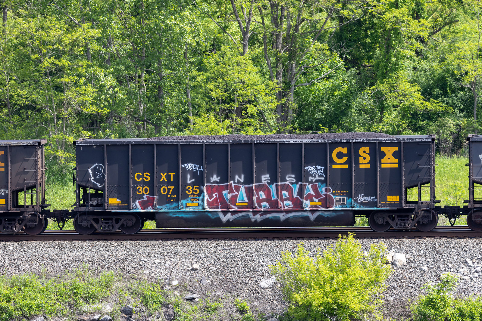 CSXT 300735