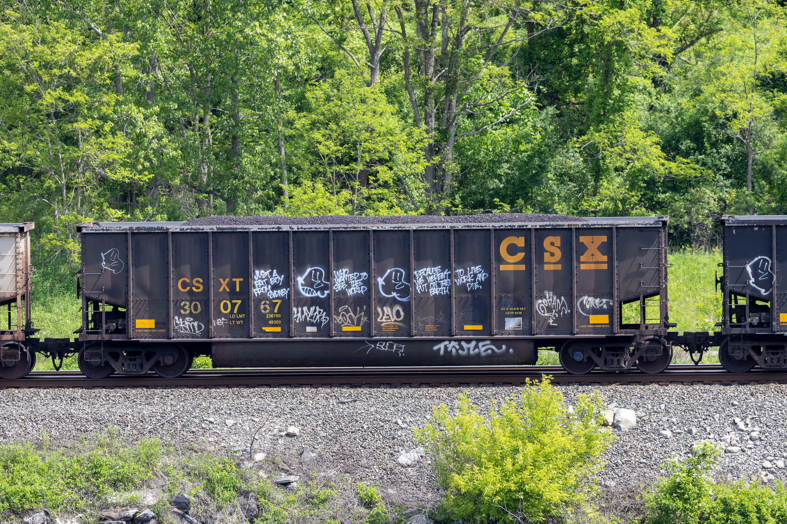 CSXT 300767