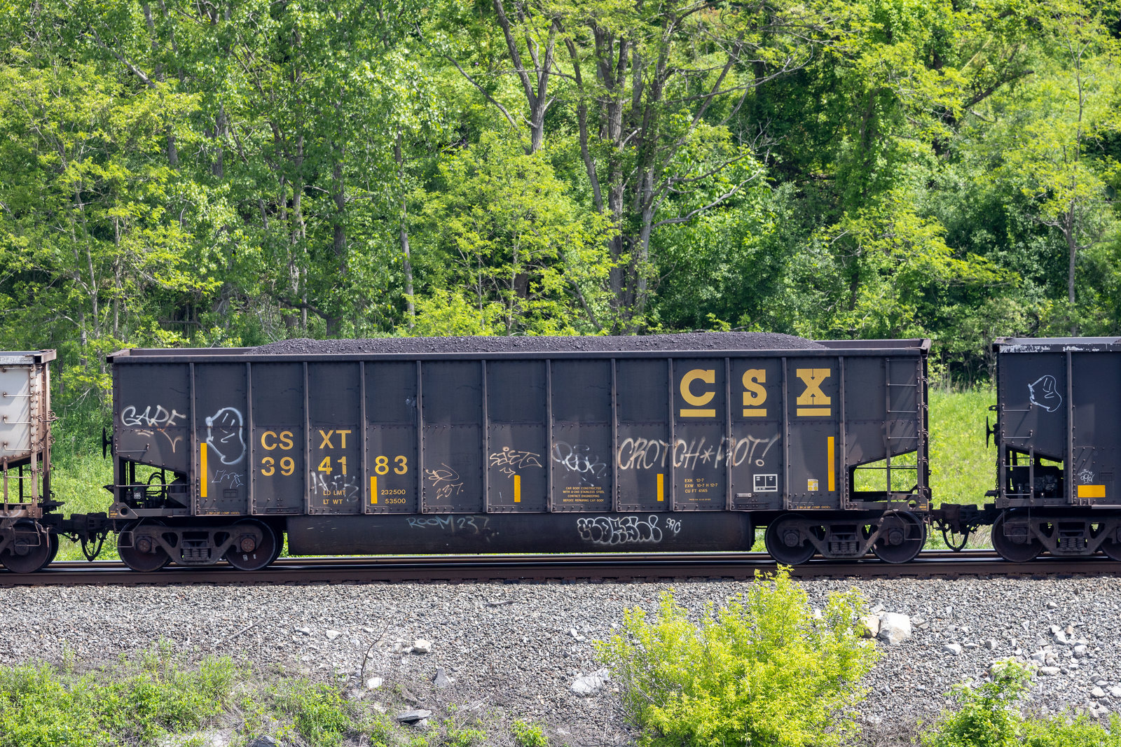 CSXT 394183
